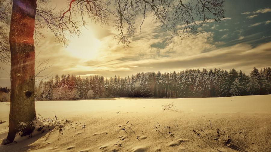 Winter Wonderland: Märchenhochzeit im Winter - Bild 3